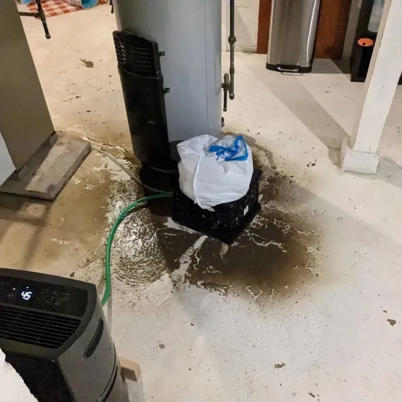Sewage Backup Cleanup Service in Reno, OH